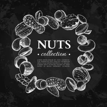 Nuts vector vintage frame illustration. Hand drawn chalkboard fo Stock Illustration