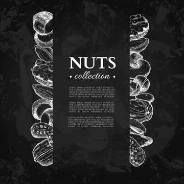 Nuts vector vintage frame illustration. Hand drawn chalkboard fo Stock Illustration