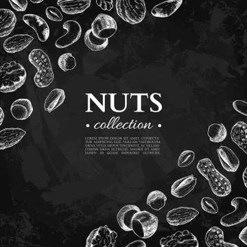 Nuts vector vintage frame illustration. Hand drawn chalkboard fo Stock Illustration