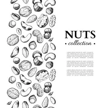 Nuts vector vintage frame illustration. Hand drawn engraved food objects. Stock Illustration