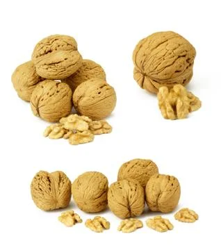 Nuts on white background Stock Photos