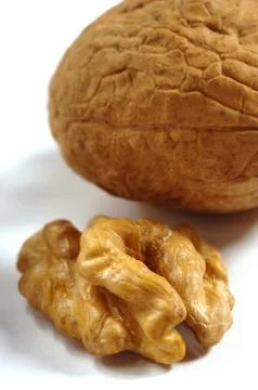 Nuts on a white background Stock Photos