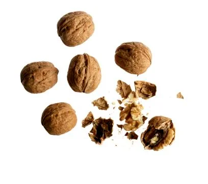 Nuts on white background Stock Photos