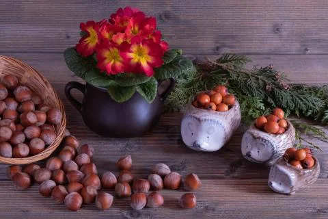 Nuts on a wooden table in a basket. Stock Photos