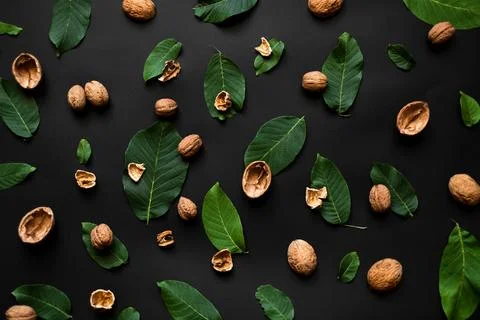 Nutshell and fresh green leafs scattered on a black background. Stock Photos