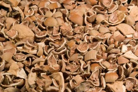 Nutshell background Stock Photos