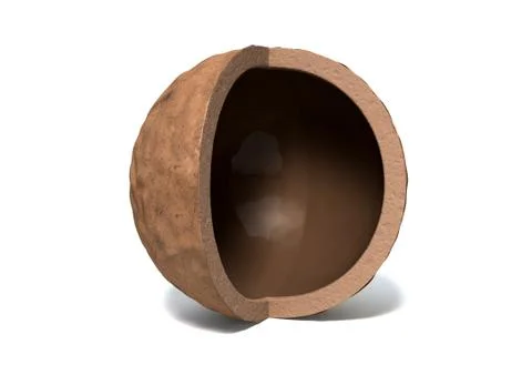 Nutshell inside Stock Illustration