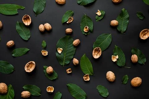 Nutshell scattered on a black background. Stock Photos