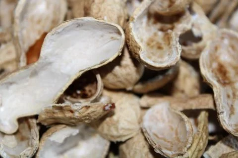The nutshells are in the jar Stock Photos