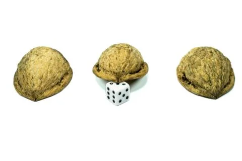 Nutshells  with dice Stock Photos