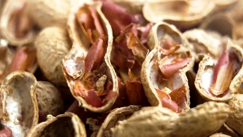 Nutshells of eaten peanuts as waste for recycling Video stock 309609954