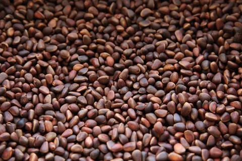 Nutty background Foto stock