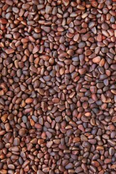 Nutty background Foto stock
