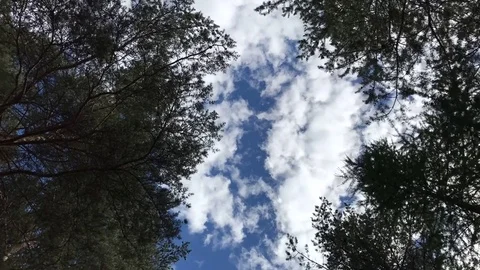 Nuvole 動画素材 81908712