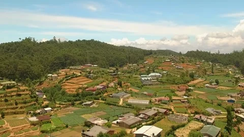 Nuwareliya area 2 Video stock 288231312