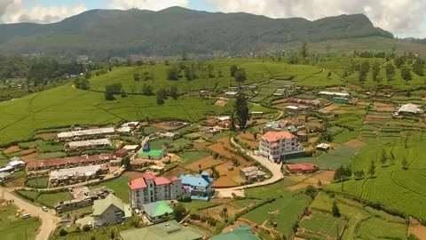 Nuwareliya area Video stock 288231300