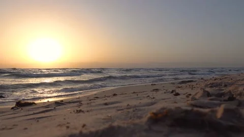 Nuweiba, Sinai Egypt Video stock 236304792