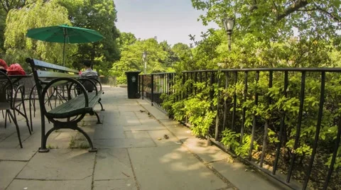 NY Central Park Bench Stock Footage 40384067