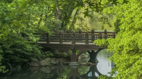 NY Central Park Bridge Stock Footage 40385117
