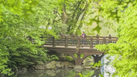 NY Central Park Bridge Stock Footage 40385269
