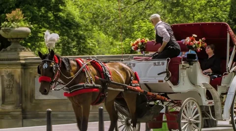 NY Central Park Chariot Video stock 40385876