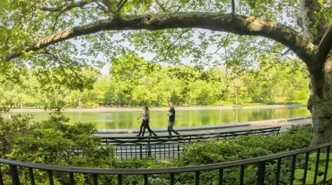 NY Central Park Stock Footage 40383743