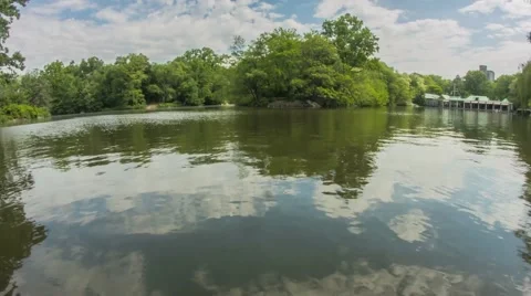 NY Central Park Lake Stock Footage 40387006