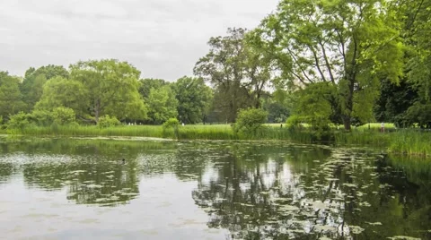NY Central Park Lake Stock Footage 40387035