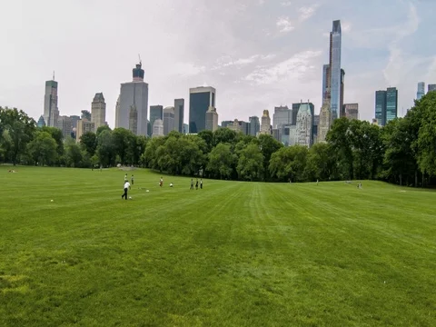 NY Central Park Skyline  Stock Footage 79748058