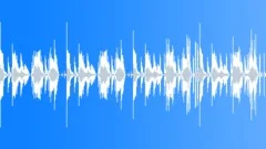 NY Funk - Progressive bass and steel guitarStock Music