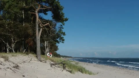 Nybostrand Stock Footage 8687806