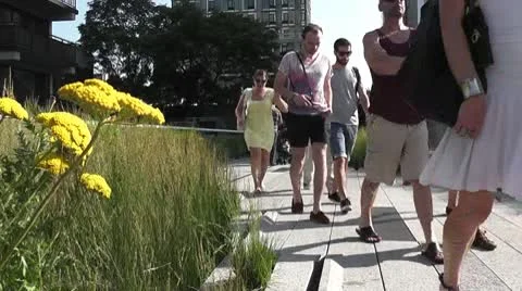 NYC-058 Stock Footage 10582811
