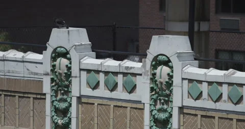 NYC 12 - BIRD ON ROOFTOP Stock Footage 140392289