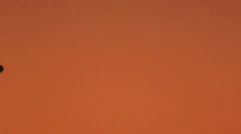 NYC-159 Stock Footage 10793126