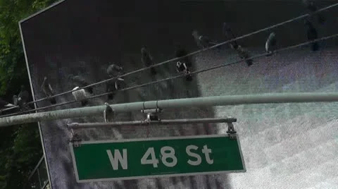 NYC-160 Stock Footage 10793125
