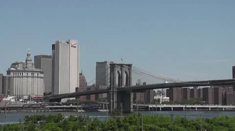 NYC-411 Stock Footage 10796161