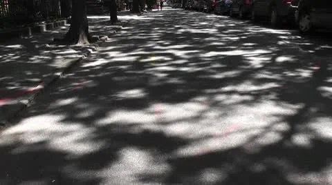NYC-472 Stock Footage 10796813