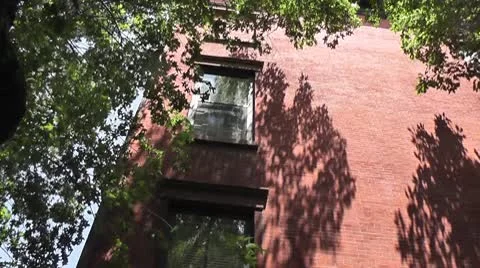 NYC-476 Stock Footage 10796832