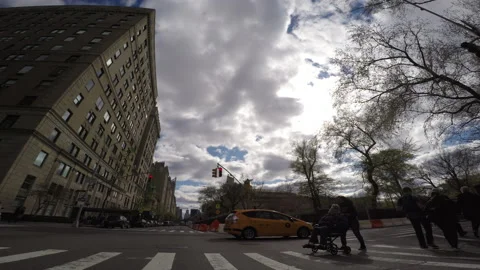 NYC 5TH AVE CENTRAL PARK CROSSWALK 1 Stock Footage 155020624