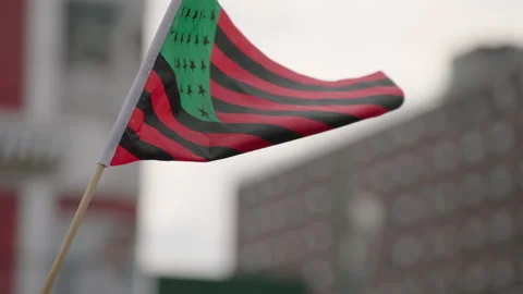 NYC BLM PROTEST Stock Footage 132536797