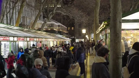 NYC Bryant Park Shops Stock Footage 296673945