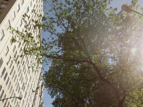 NYC Buildings in Motion Stock Footage 77622245