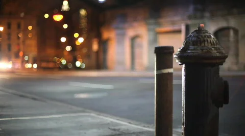NYC busy corner with Hydrant Stock Footage 397418