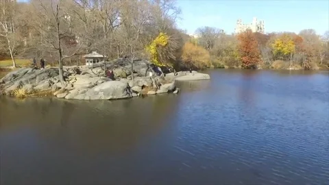NYC - Central Park - Drone 動画素材 114985250