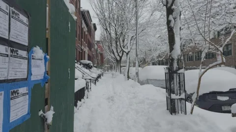 NYC DOB Construction Permits on Green Fence, Brooklyn, Close-Up, Blizzard Video stock 329888745