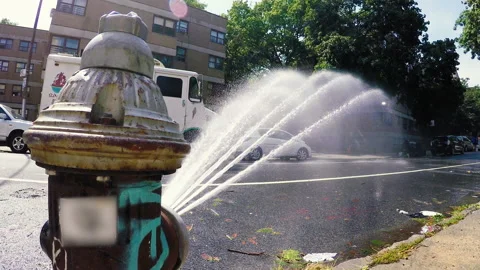 NYC - Fire Hydrant - 4k Stock Footage 138534570