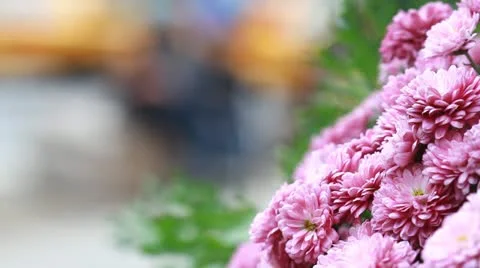 NYC Flower Stock Footage 12414821