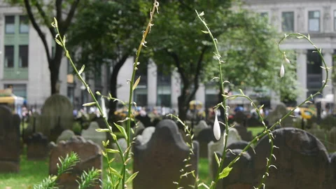 NYC GRAVEYARD TRAFFIC Stock Footage 192923997