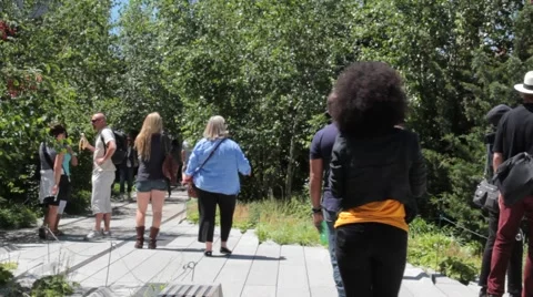 NYC High Line in Spring Stock Footage 56086391