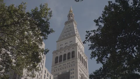 NYC Madison Square Park 3 Stock Footage 276942516